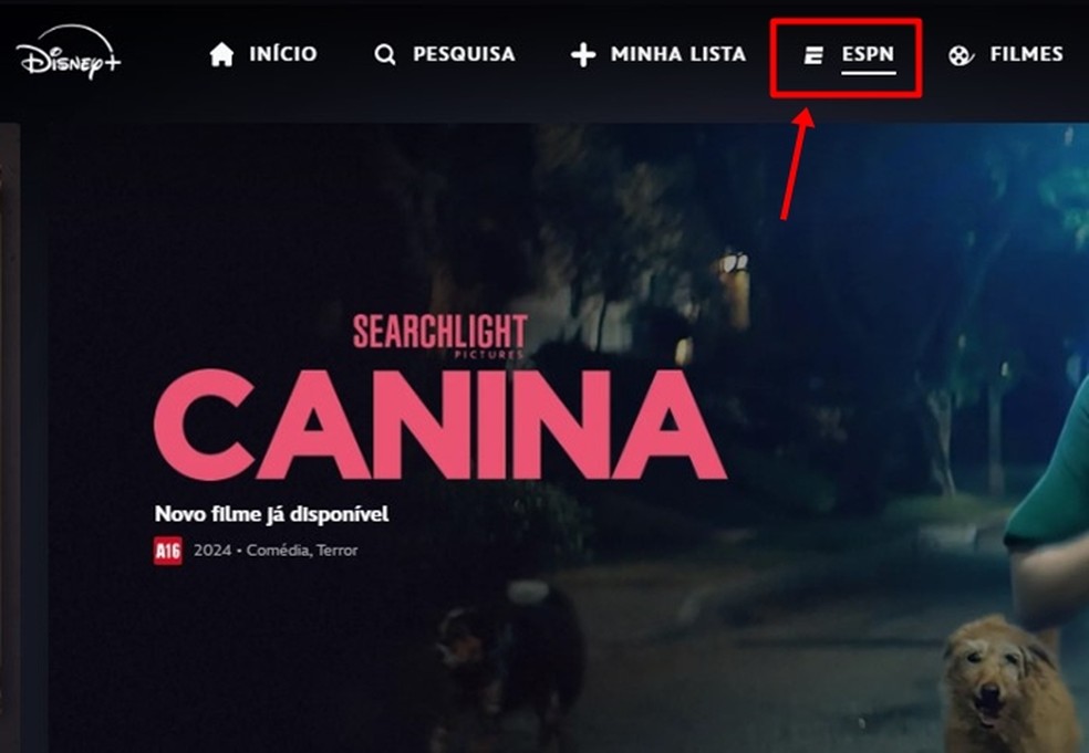  Reprodução/Gabriela Andrade