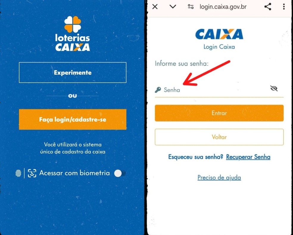  Reprodução/Gisele Souza