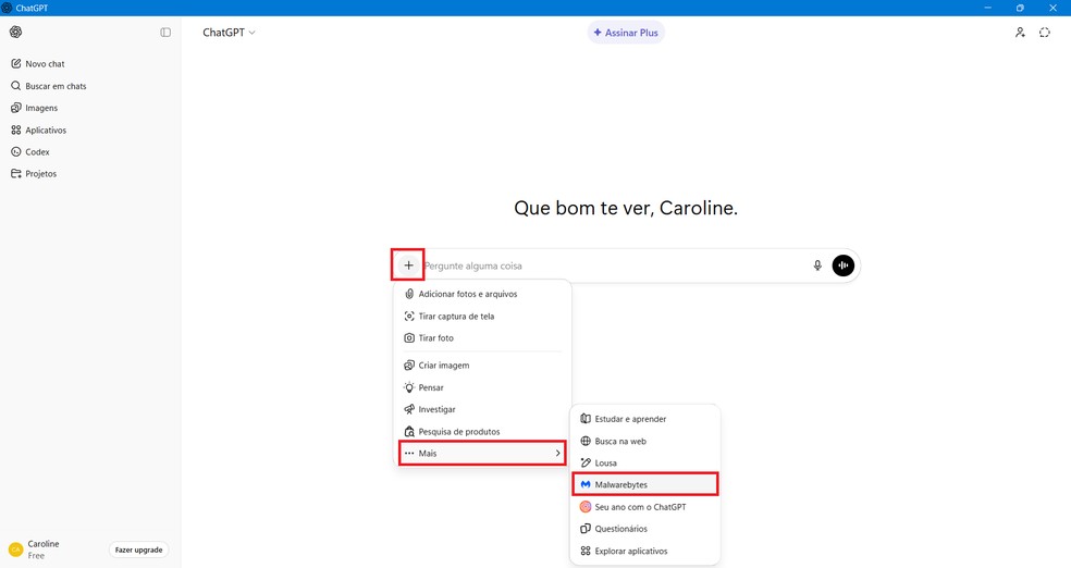  Reprodução/Caroline Silvestre