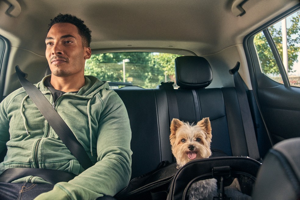Pets in an uber deals