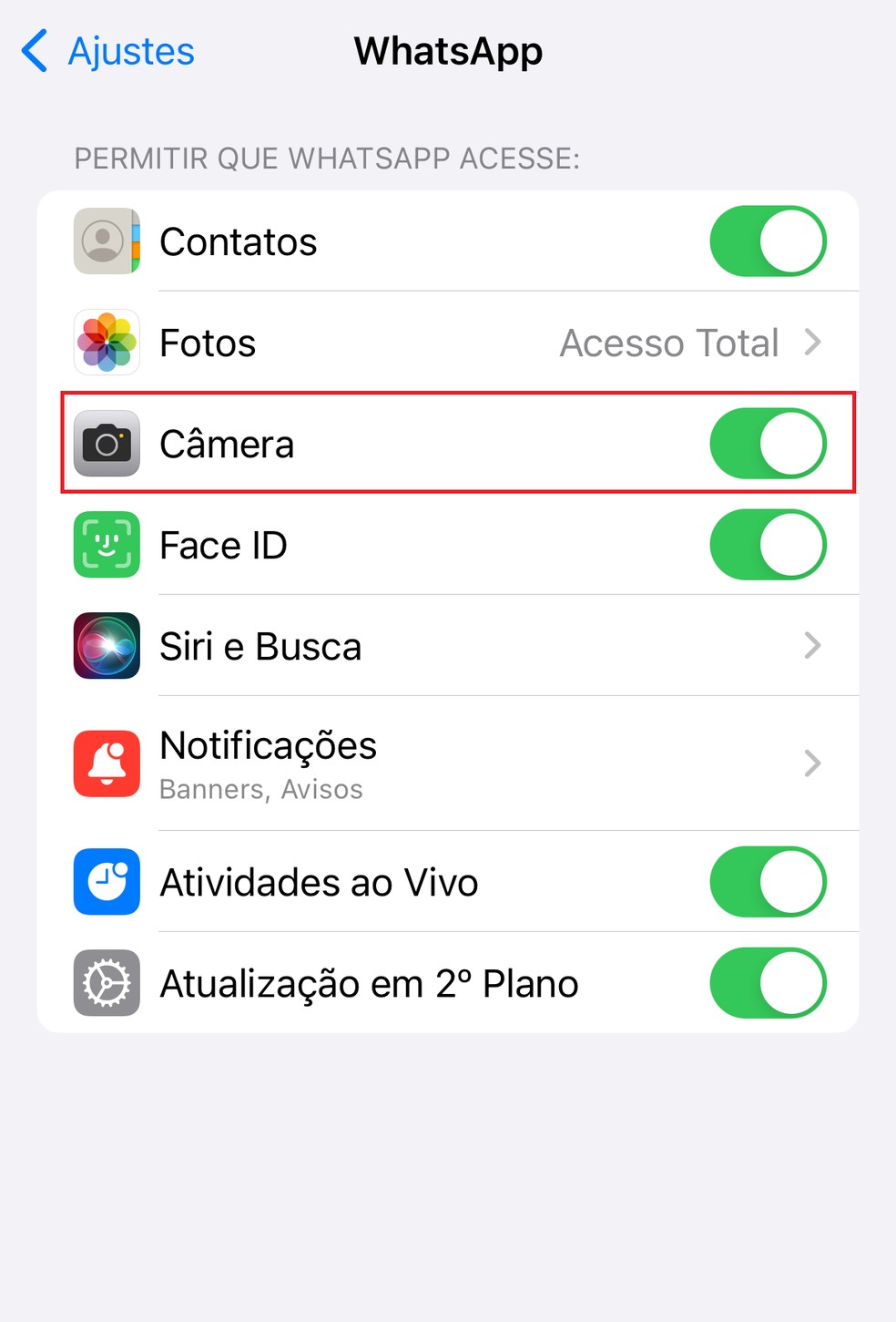 Permitindo o acesso à câmera no aplicativo do WhatsApp (iPhone) — Foto: Reprodução/Bruno Guerra