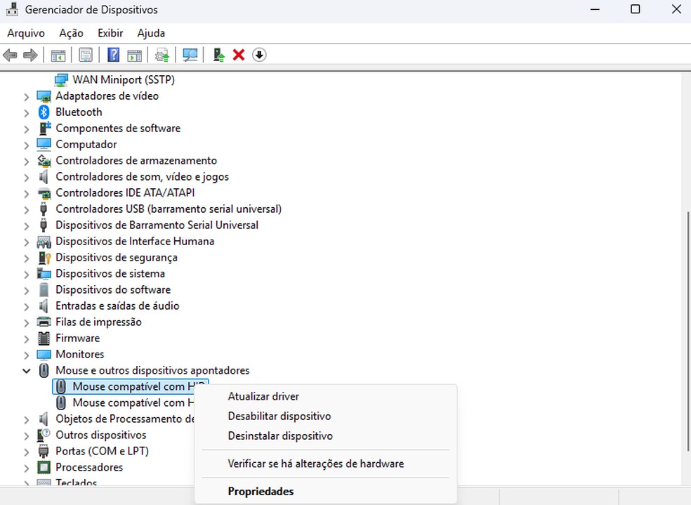  Reprodução/Harley Nascimento
