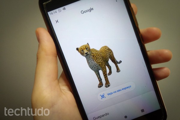 Google Brasil on X: 👉 Como ver os animais em 3D usando a busca