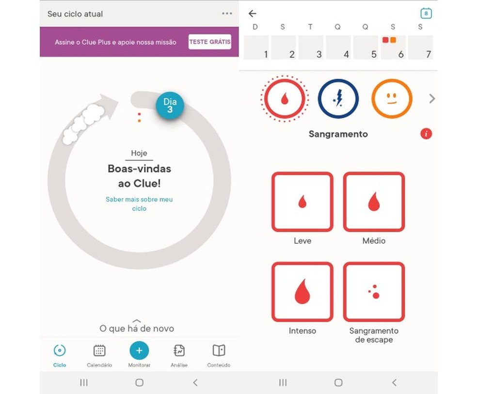 Calendário Menstrual, Software