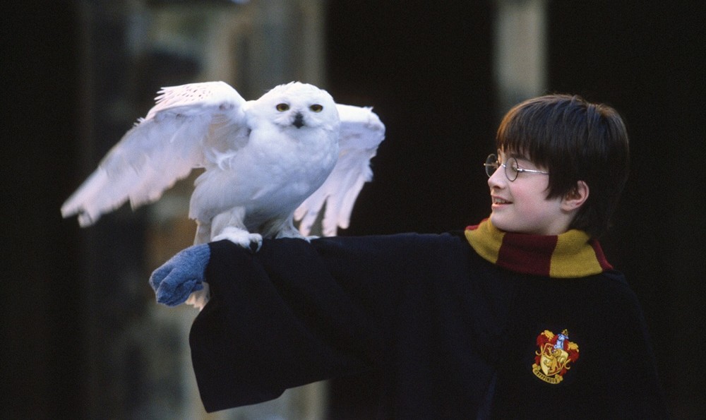 Harry Potter: conheça personagens e elenco da franquia de filmes