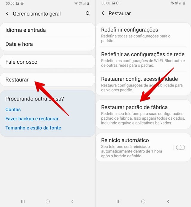 Restauração Celular