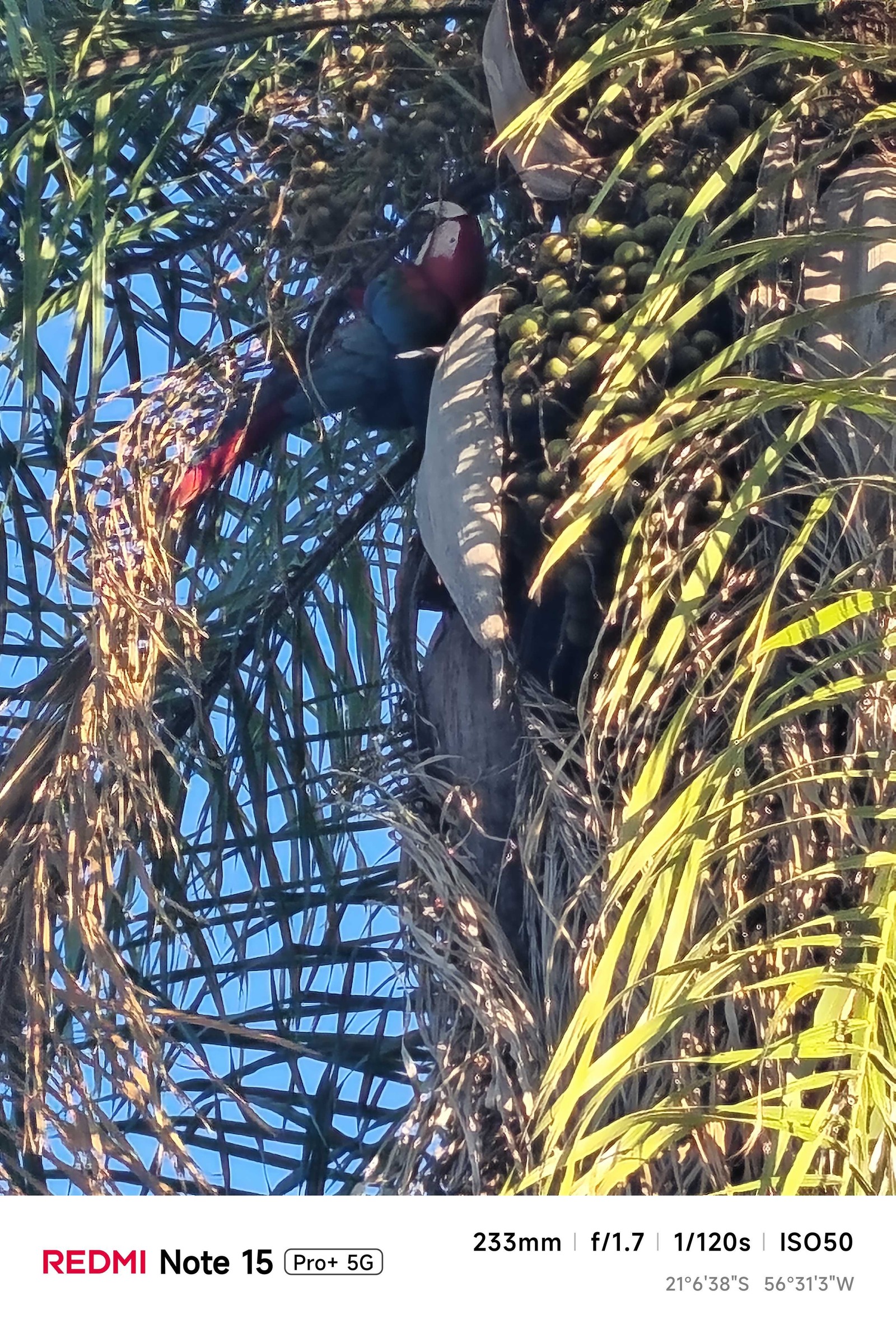 São 4X de zoom sem perda de qualidade. Na foto, esse número já tinha sido ultrapassado