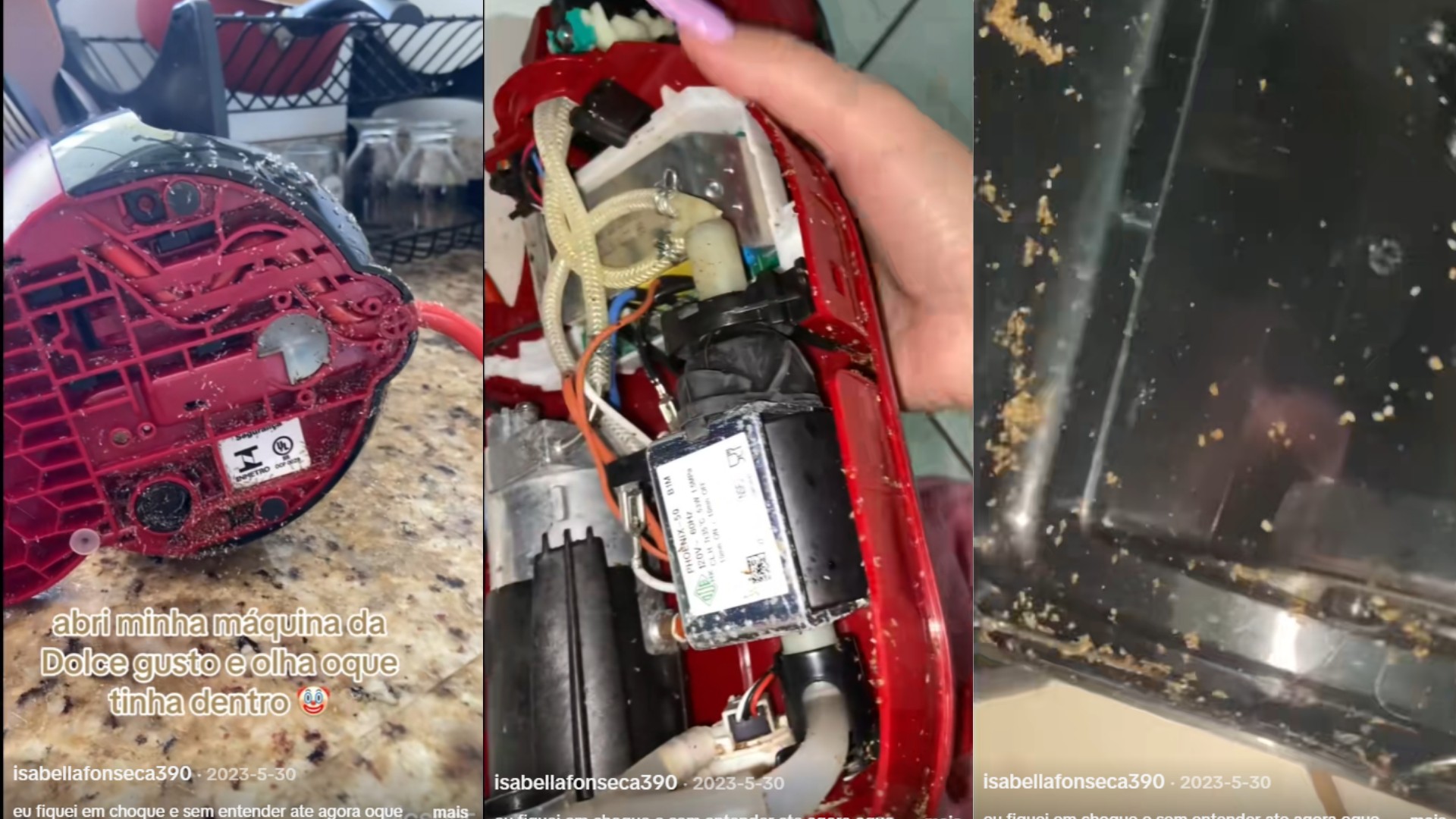 Viral mostra cafeteira de cápsula INFESTADA de insetos; saiba evitar