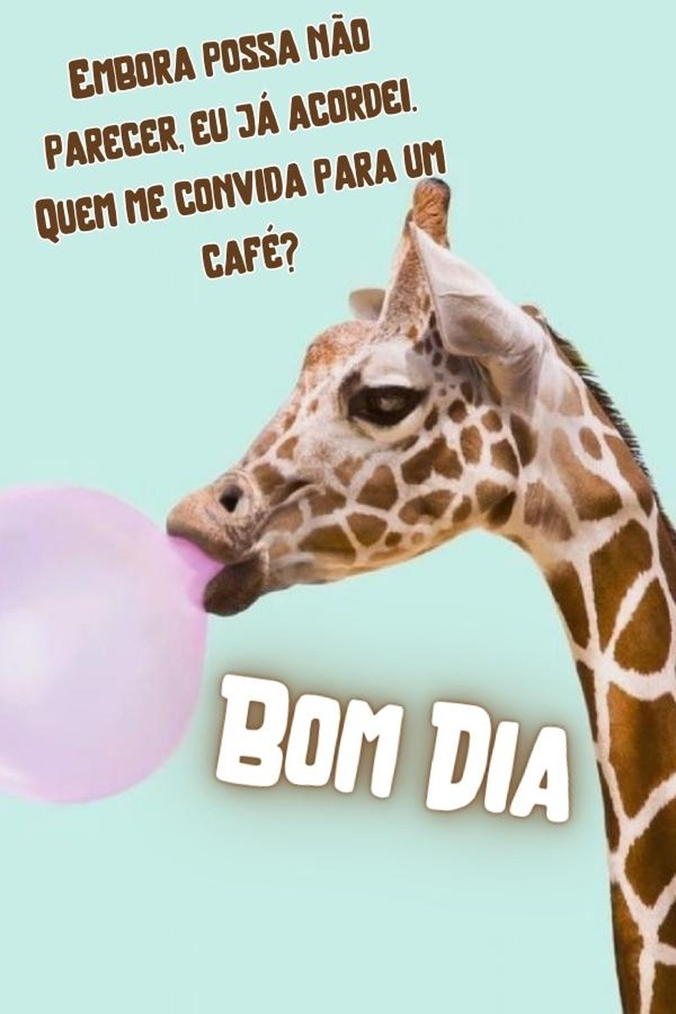 Bom Dia Engracado