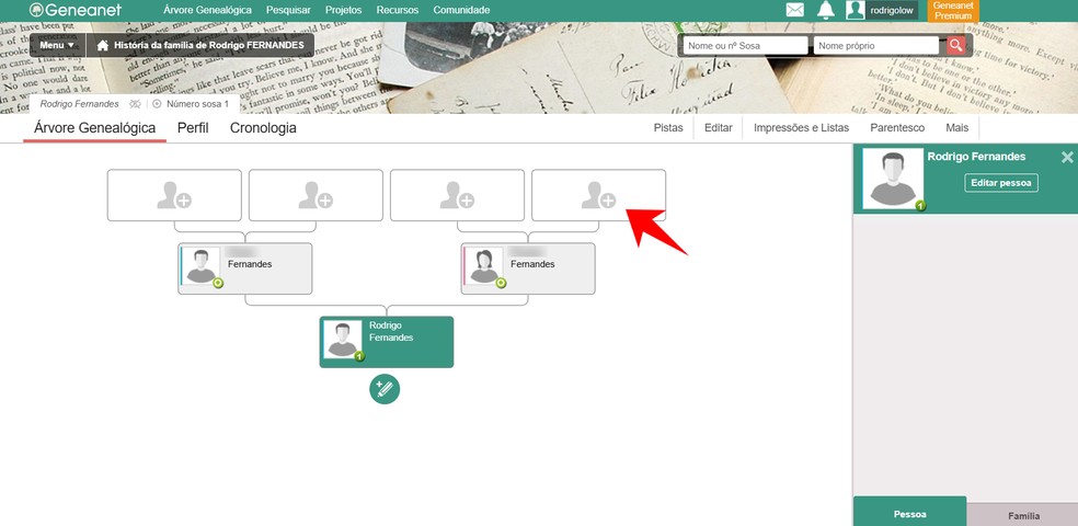 Site Geneanet permite criar árvore genealógica online; saiba como fazer — Foto: Reprodução/Rodrigo Fernandes