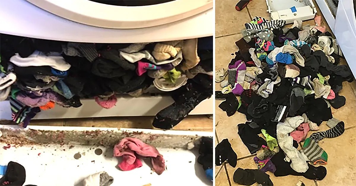 Suas meias somem direto? Viral mostra que máquina de lavar pode ser culpada