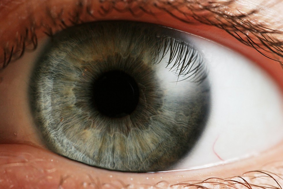 Eye_iris-macros — Foto: TechTudo
