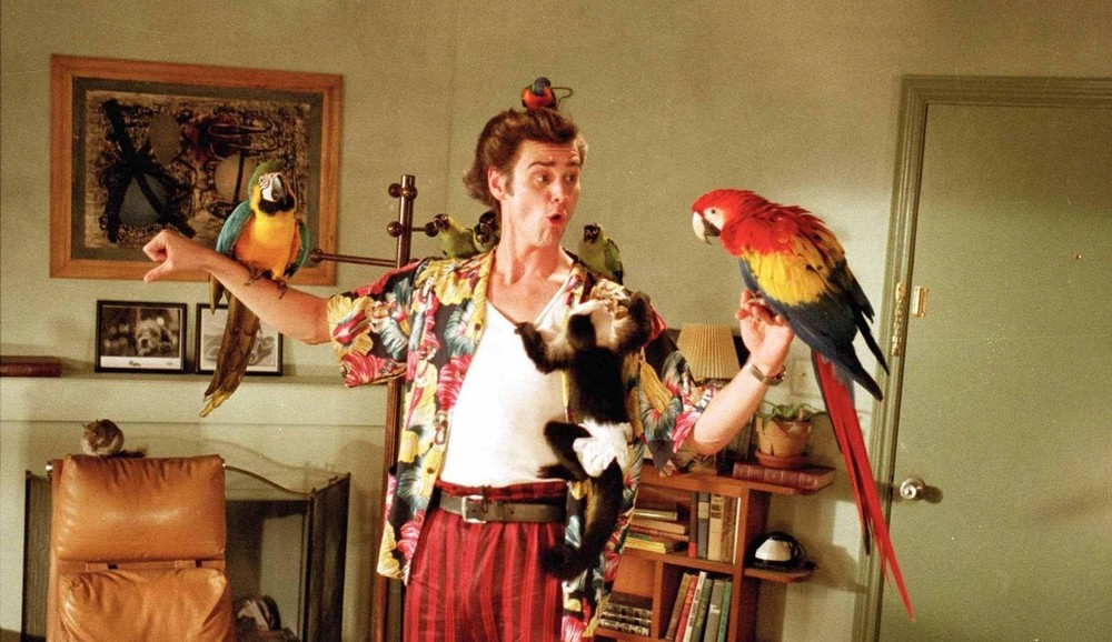 Os 30 melhores filmes de comédia para você chorar de tanto rir