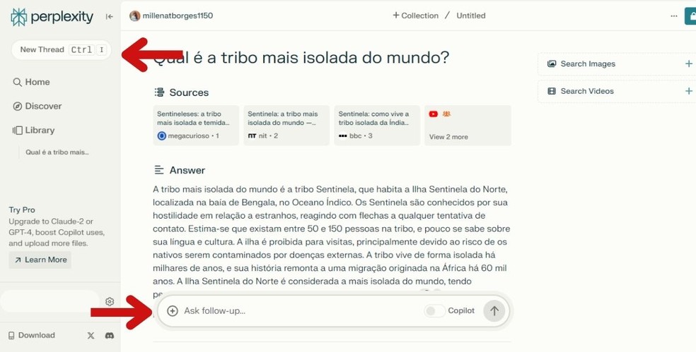 Opções de continuar perguntando ou começar nova pergunta — Foto: Reprodução/Millena Borges