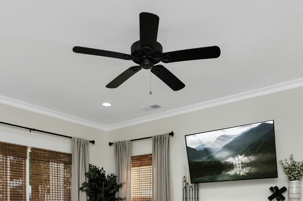  Reprodução/Zac Gudakov/Unsplash