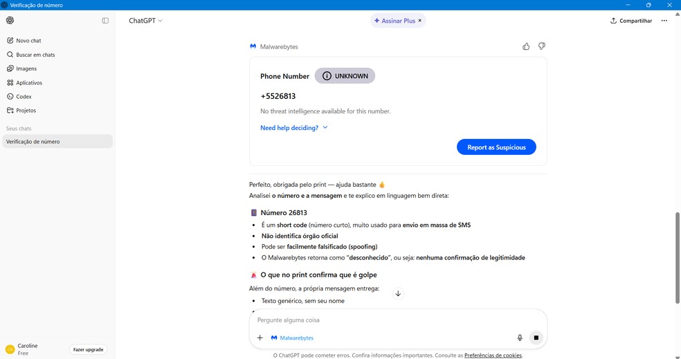  Reprodução/Caroline Silvestre