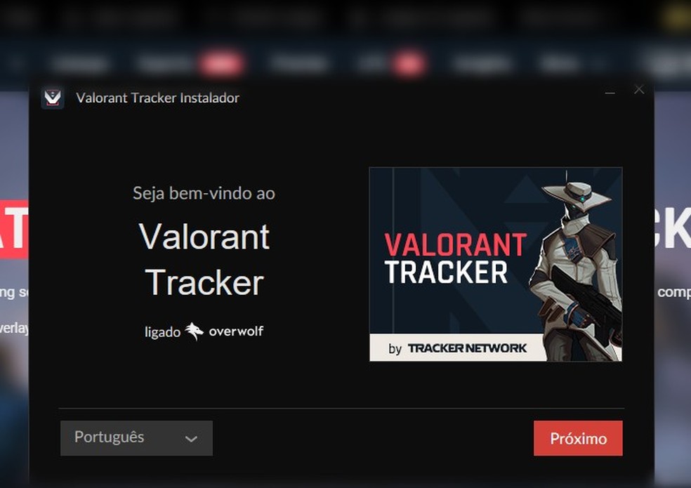 Ao executar o instalador do programa, cuidado para não baixar aplicativos terceiros — Foto: Reprodução/João Ferreira