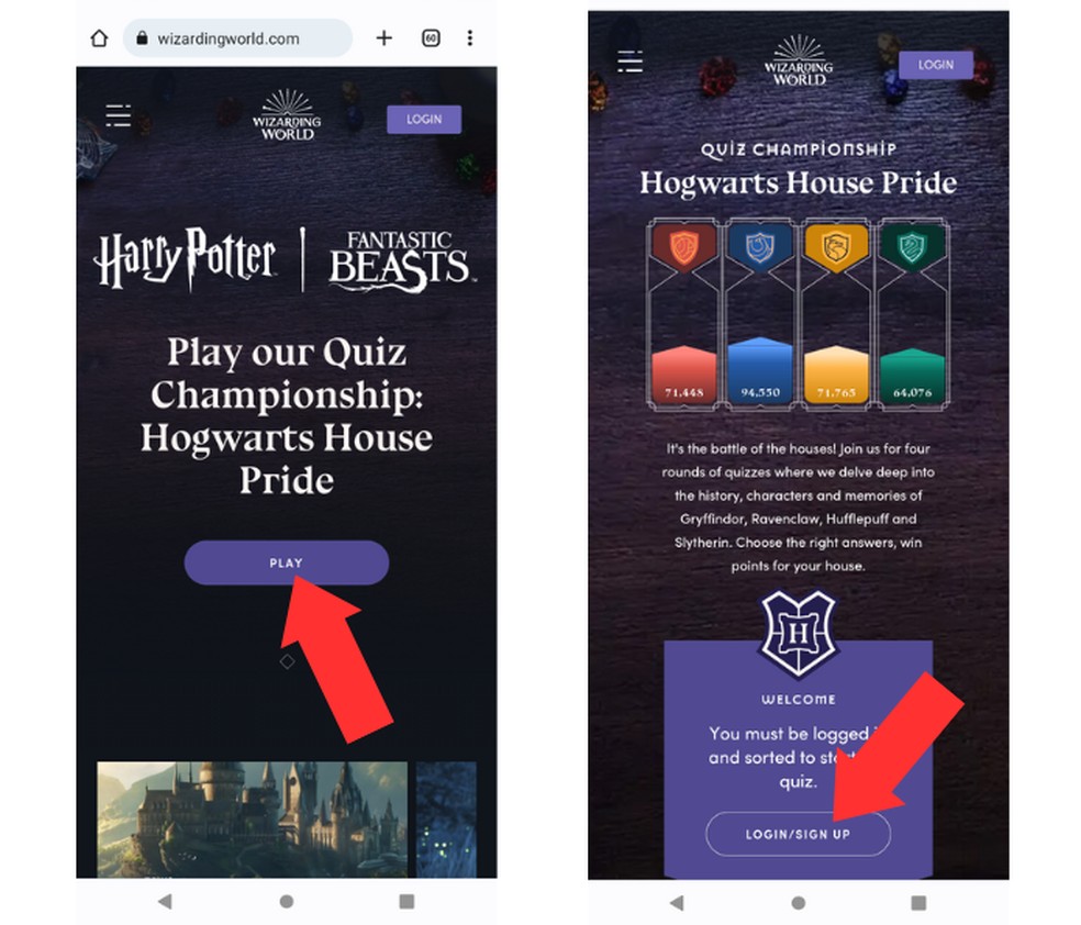 Qual é sua casa em Hogwarts?