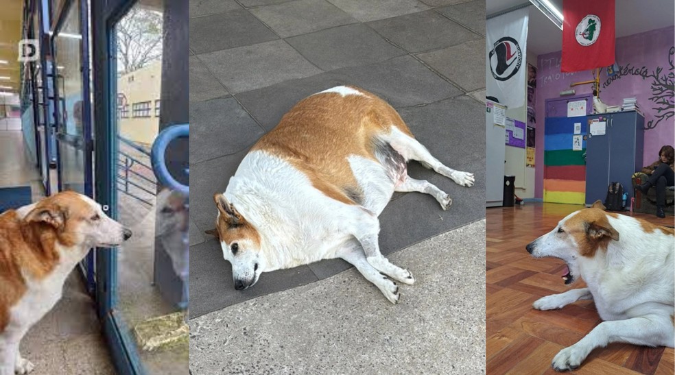  Reprodução/Instagram