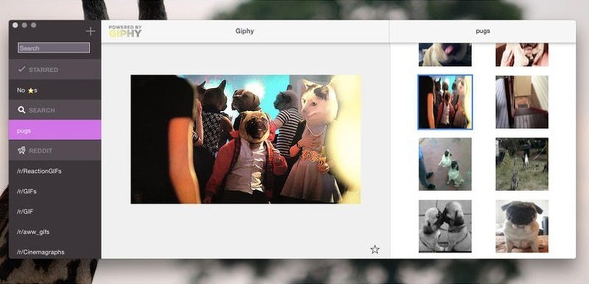 Onde achar GIF WhatsApp?