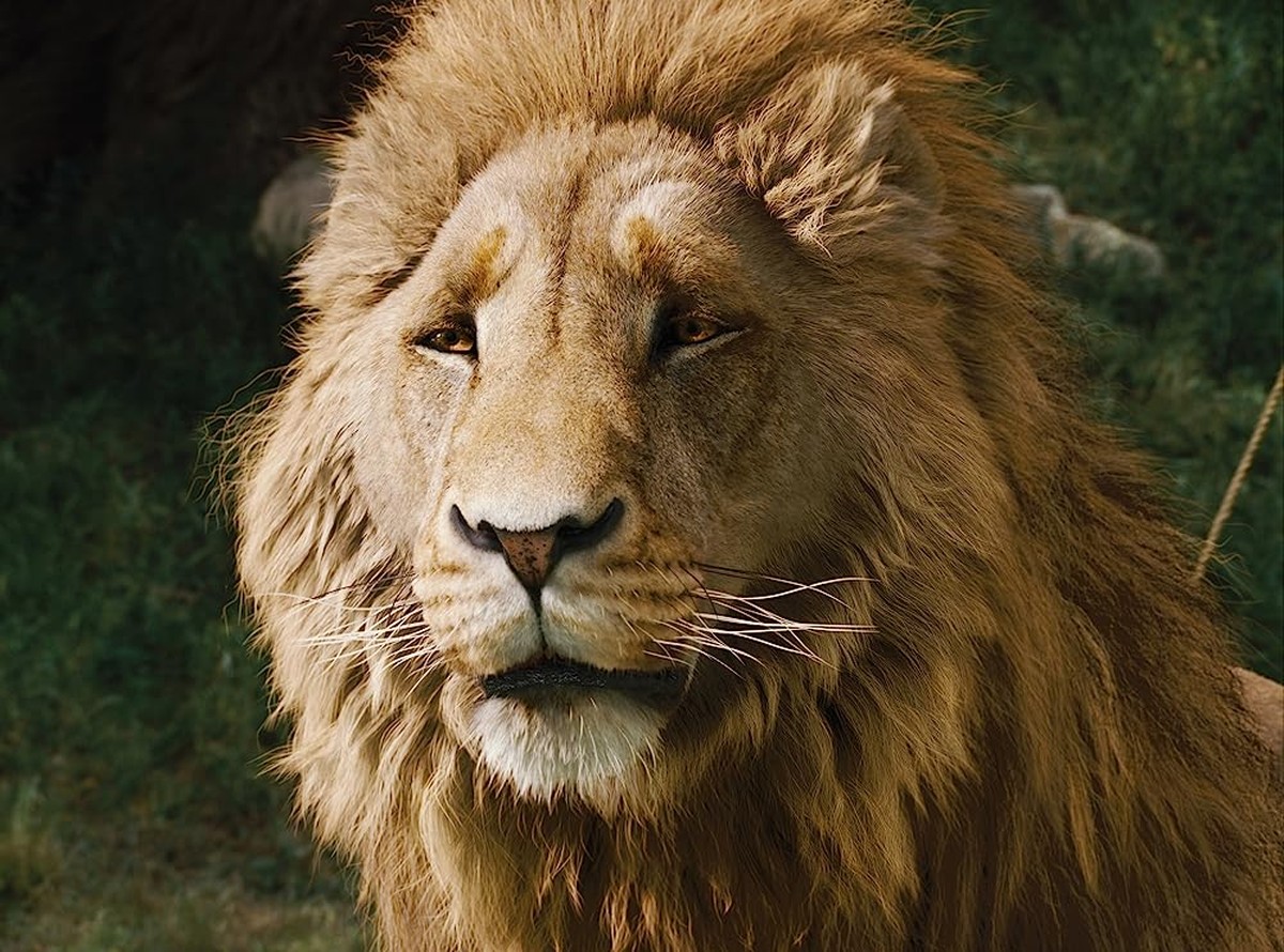 Aslan, The Chronicles of Narnia Wiki