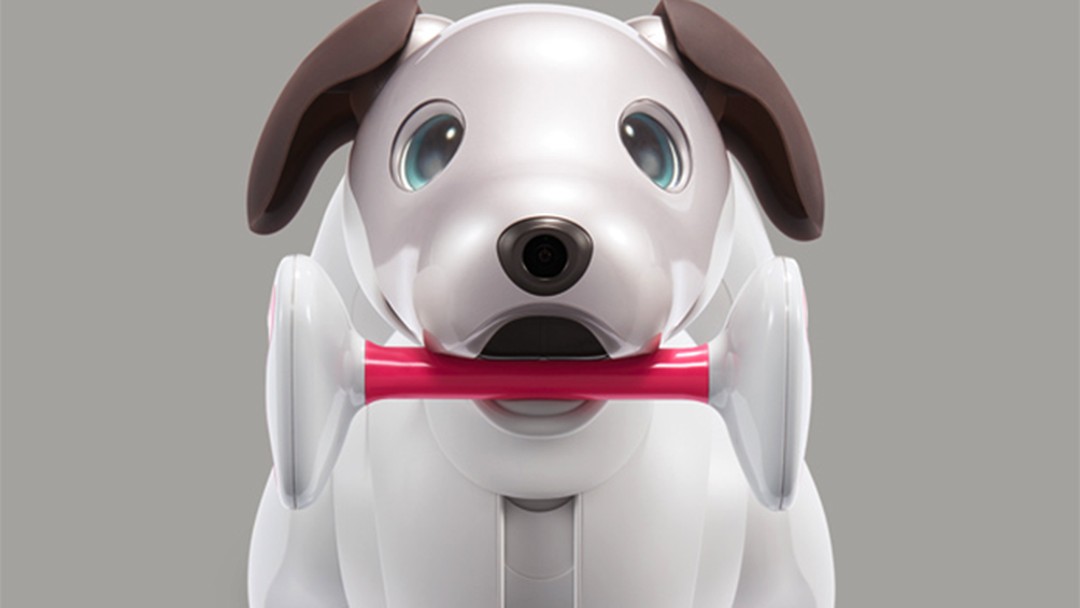 Aido best sale robot dog