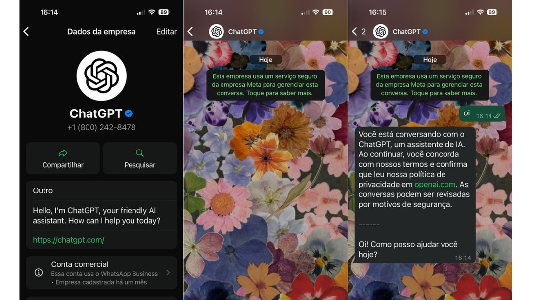 WhatsApp colorido? Opção de escolher cores no app deve chegar em breve