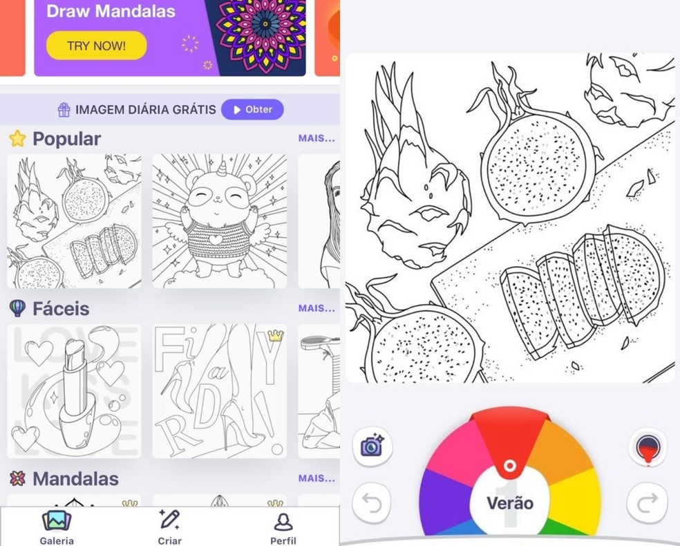  Reprodução/Gisele Souza