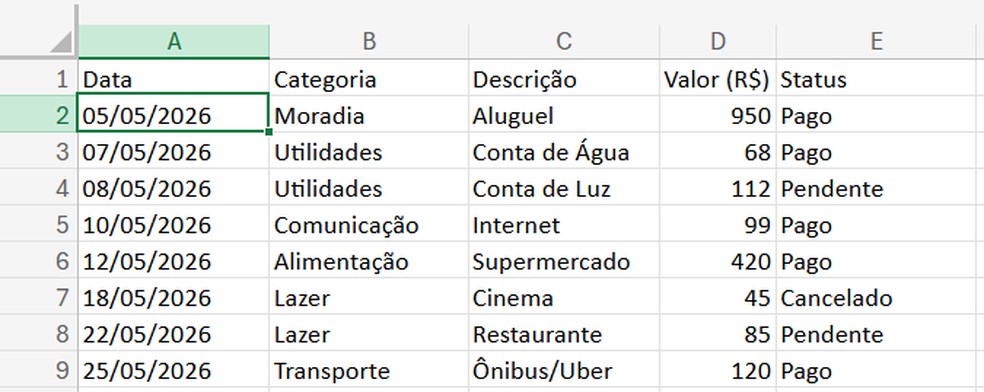  Reprodução/Erika Oliveira