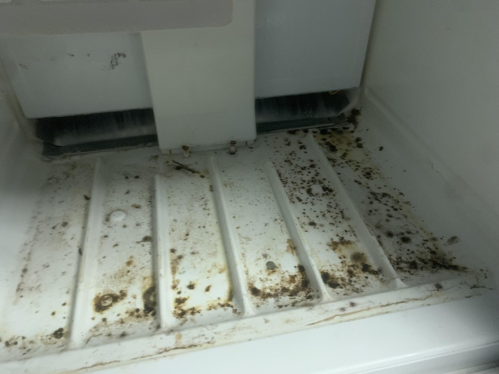  Reprodução/Redes Sociais