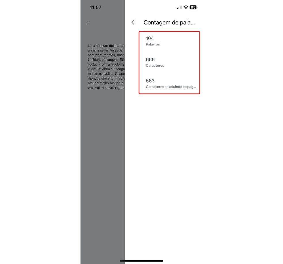 Contador de caracteres e palavras do Google Docs pode ser acionado no aplicativo para celular — Foto: Reprodução/Rodrigo Fernandes