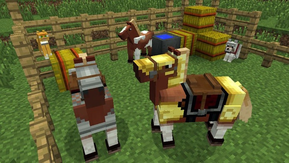 Mobs do Minecraft CAPTURADOS NA VIDA REAL 