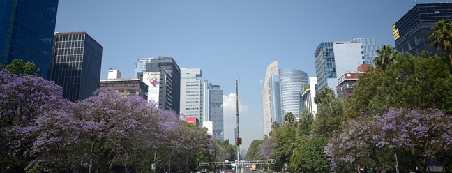  Aline Barbieri/TechTudo