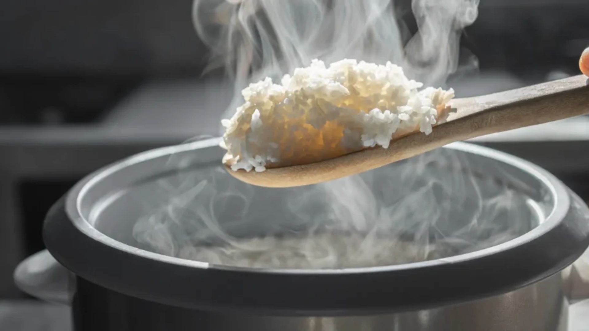 Melhor panela elétrica de arroz: 8 modelos que vão facilitar sua vida