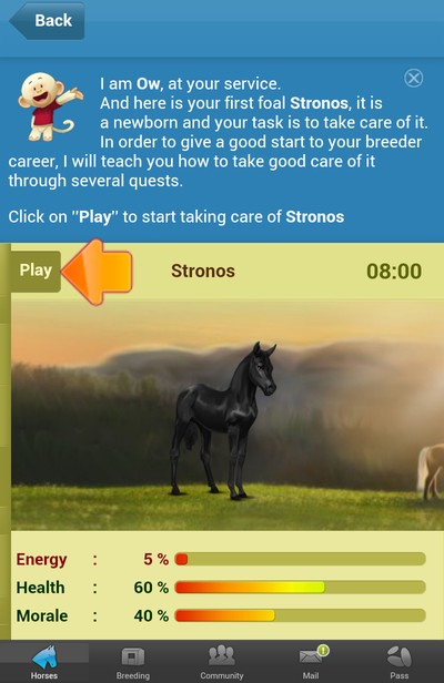 SSO] COMPRANDO o MELHOR CAVALO DO JOGO - Star Stable Online 