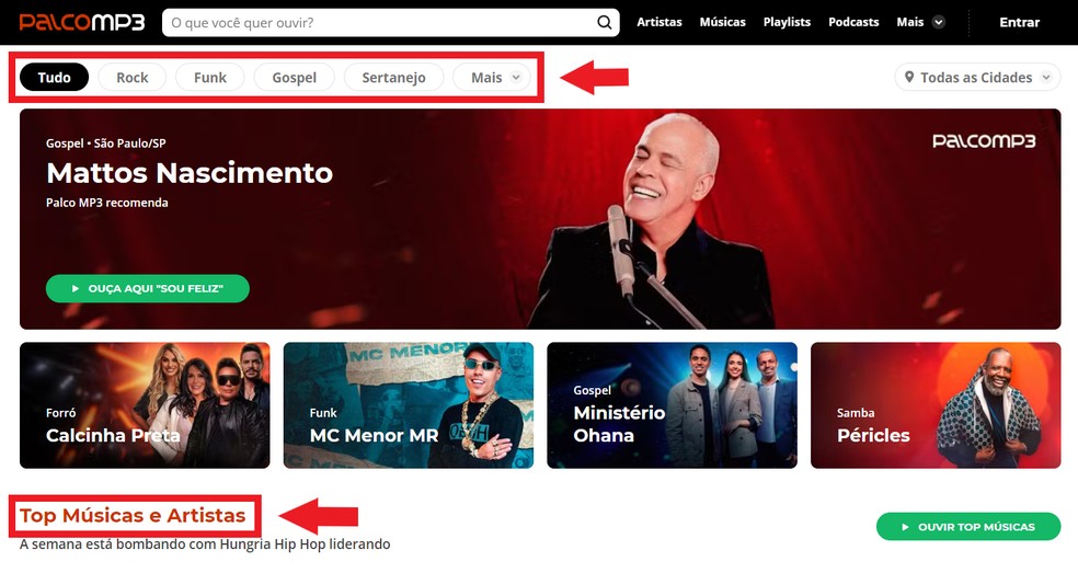 Acesse o site Palco MP3 para baixar músicas de graça — Foto: Reprodução/Thaisi Carvalho