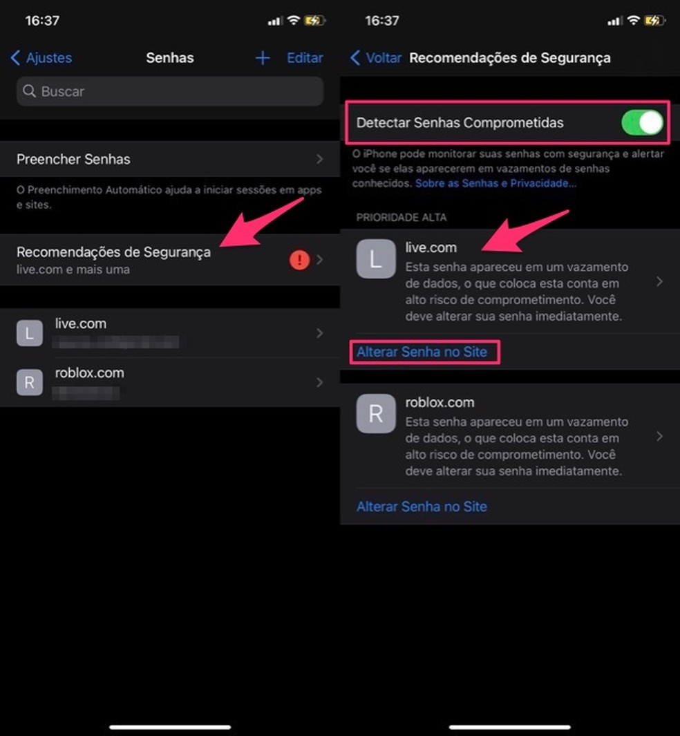 Ação para verficar as informações de uma senha vazada nas configurações de senhas do iPhone — Foto: Reprodução/Marvin Costa