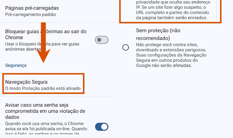  Reprodução/Paola Mansur