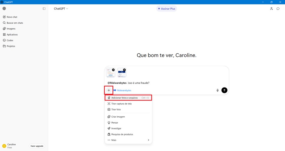  Reprodução/Caroline Silvestre