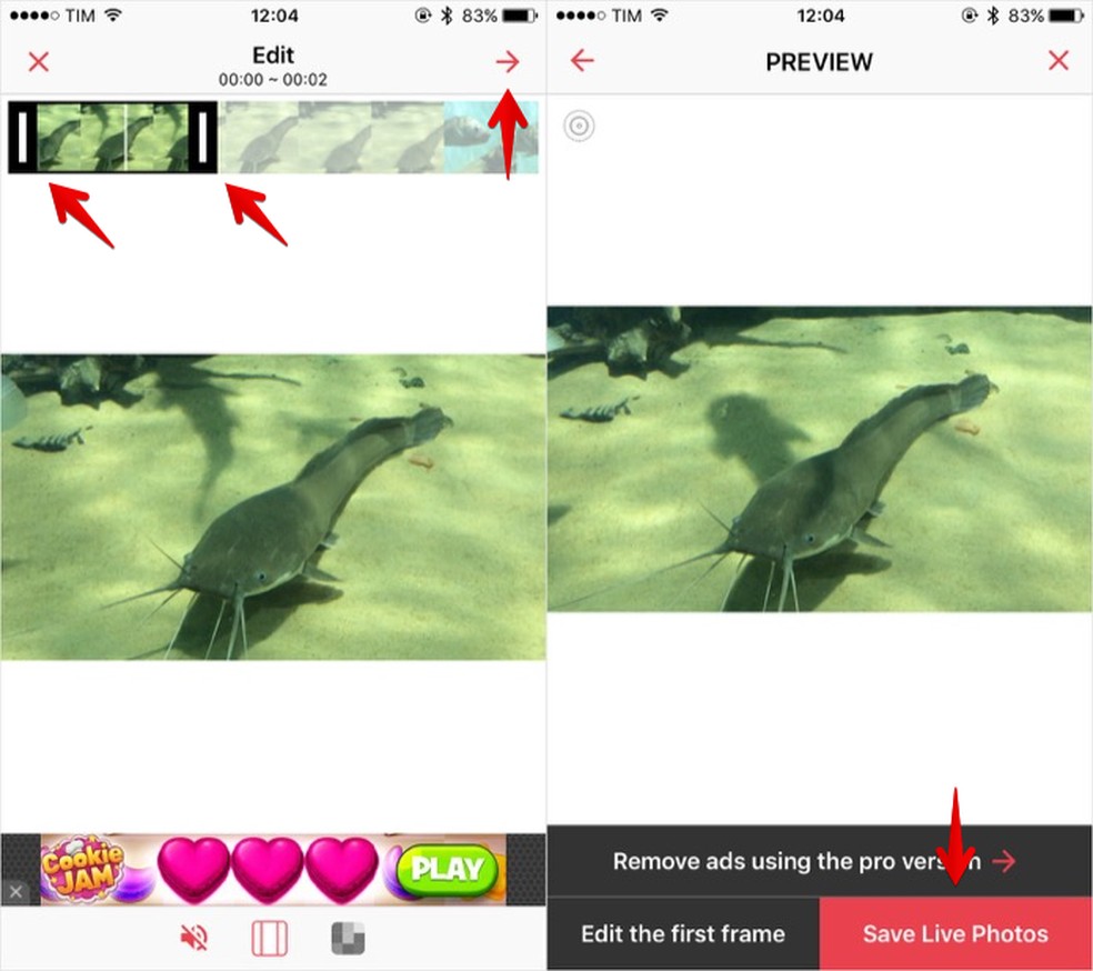 Transforme GIF em vídeo, Converter GIF para vídeo online