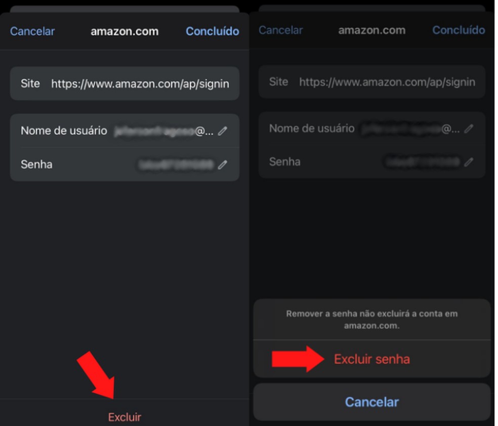 Veja como excluir senhas salvas no Google de site específico através do iPhone — Foto: Foto: Reprodução/Mariana Tralback
