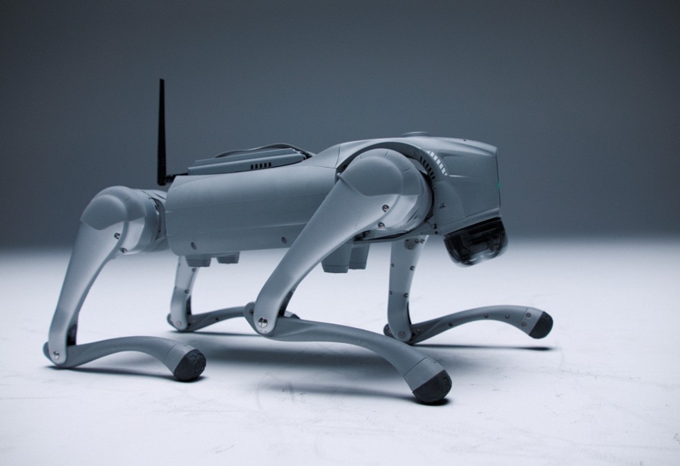  Reprodução/IntuiCell