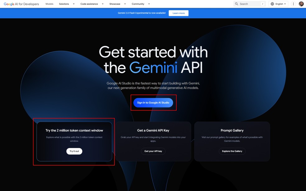  Reprodução/Google AI para Desenvolvedores