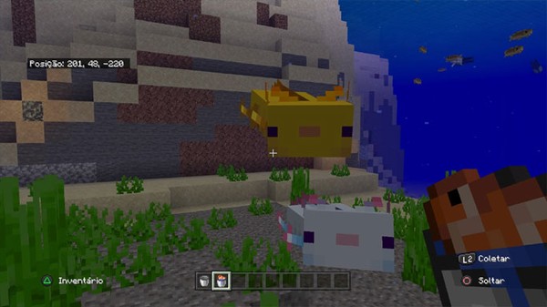 O Que Axolote Come No Minecraft