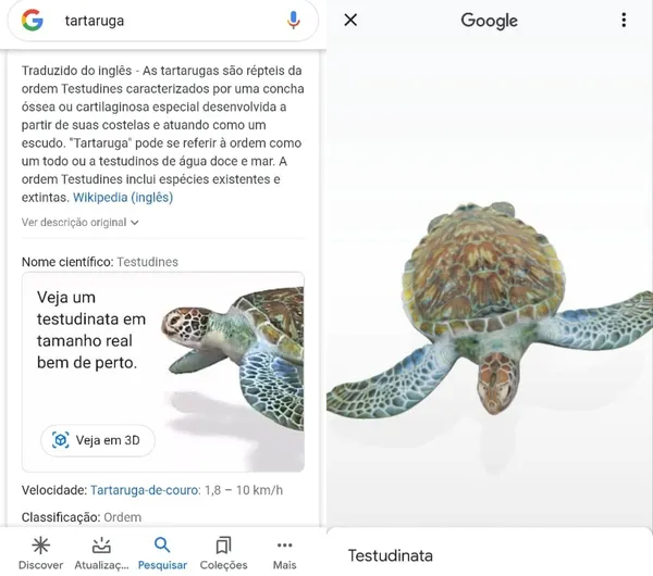 Animais 3D em tamanho real: Google disponibiliza animação para fotos e  vídeos