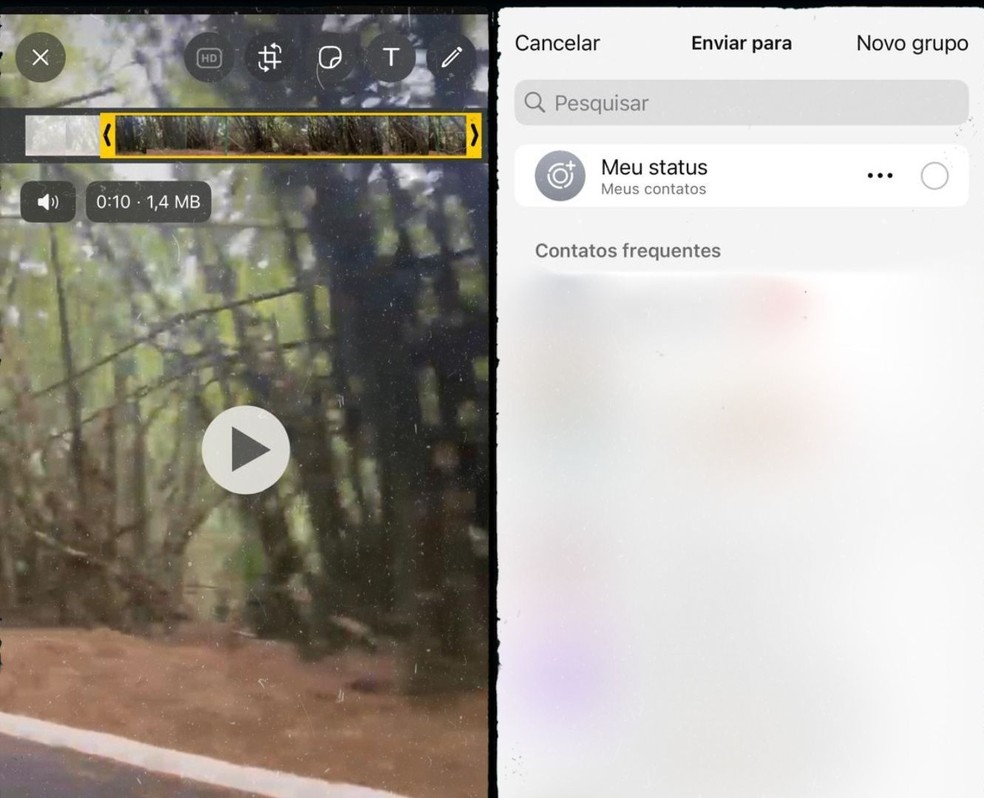  Reprodução/Gisele Souza