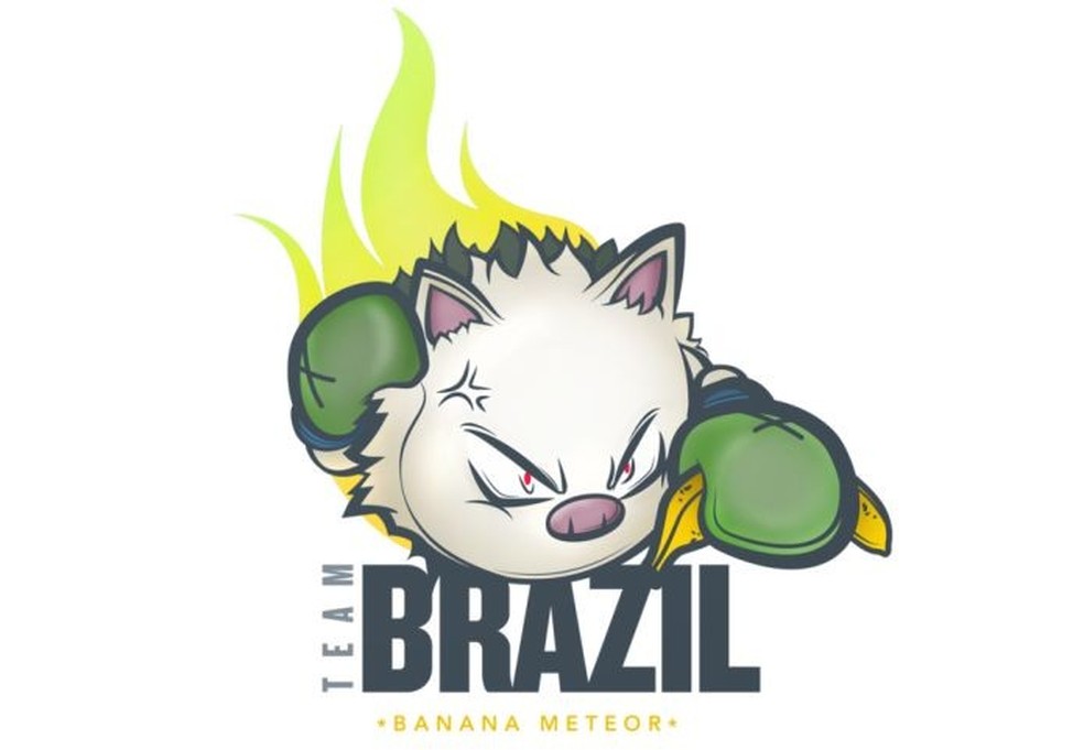 E se os times Brasileiros tivessem os tipos Pokémon ? (01, Série A) :  r/futebol