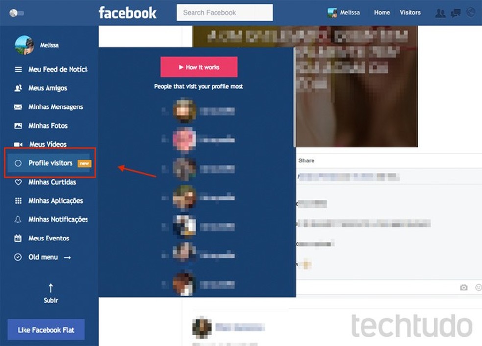 Plugin Facebook Flat promete revelar quem visitou o seu perfil no Facebook (Foto: Reprodução/TechTudo) — Foto: TechTudo