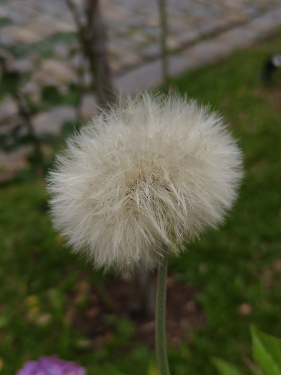  Ana Letícia Loubak/TechTudo