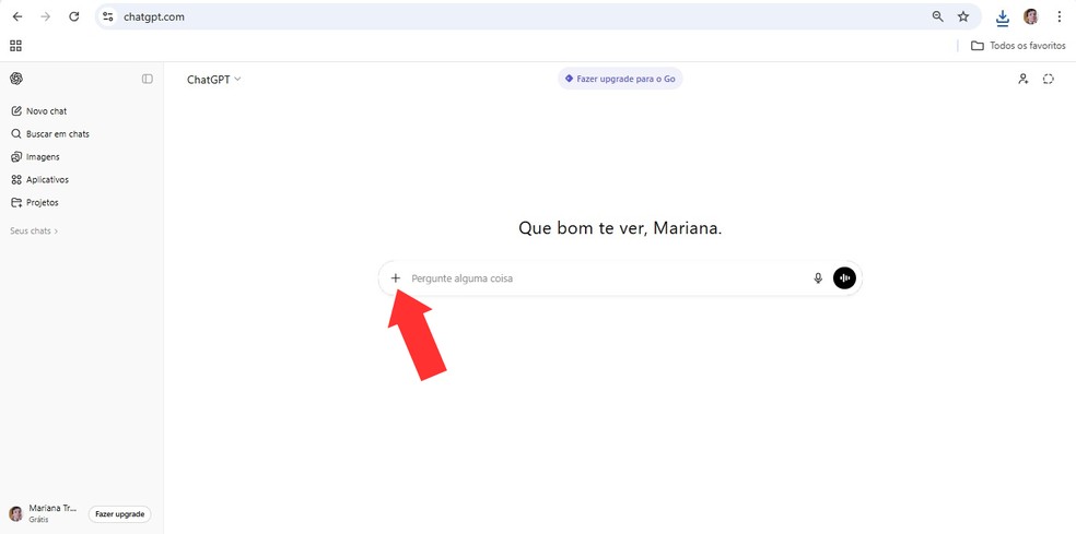  Reprodução/Mariana Tralback